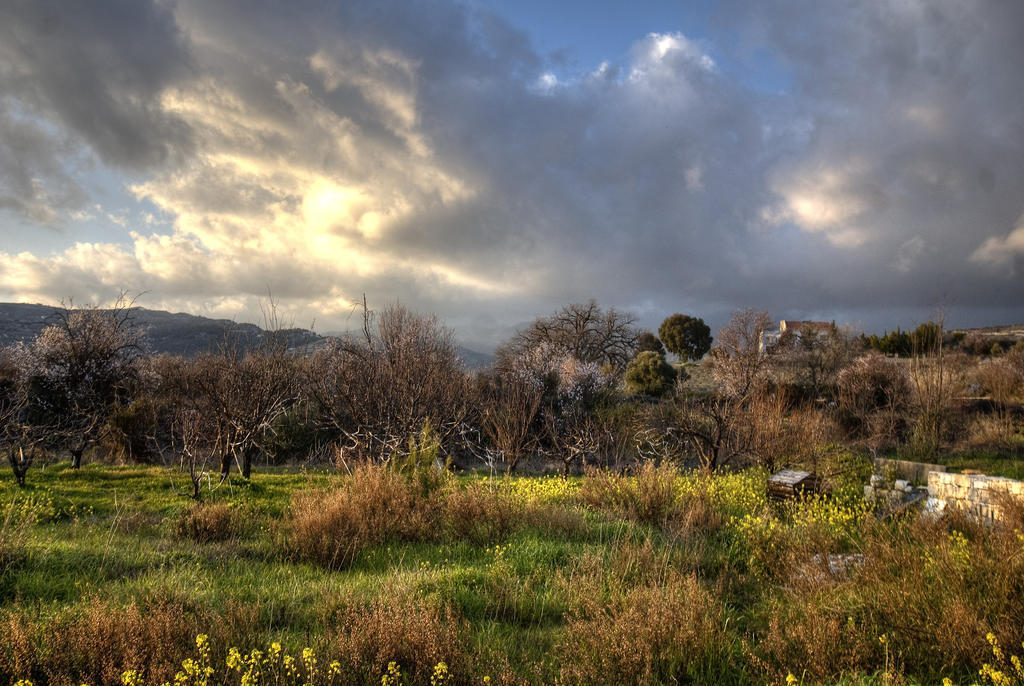 Lania Royal Oak House By Trulycyprus Vila Exterior foto